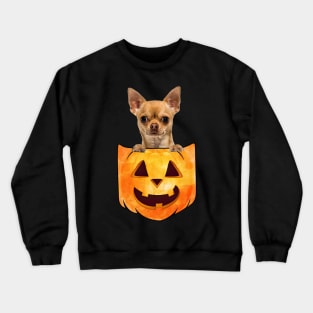 Tan Chihuahua Dog In Pumpkin Pocket Halloween Crewneck Sweatshirt